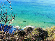 Load image into Gallery viewer, Sunday 7 June | Royal National Park | Whale Watching Walk Wattamolla to Curracurrong (Eagle Rock)🐳 FREE LOCAL TRAIN STATION TRANSFERS