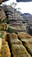 Load image into Gallery viewer, Saturday 28 - Sunday 29 March 2026 | Conquer the Castle | Monolith Valley | Budawangs and Morton National Park | Overnight Guided Adventure