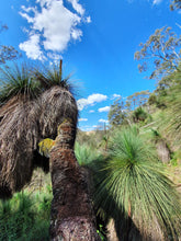 Load image into Gallery viewer, Saturday 11 April | Bungonia Red Track - White Track Loop | Bucket List Hike