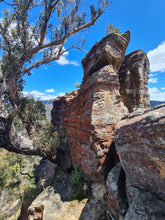 Load image into Gallery viewer, Sunday 12 July | Ruined Castle and Mount Solitary all in a day! | Everyone's hiking bucket list!