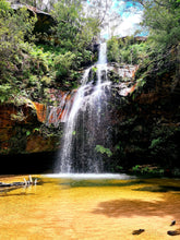 Load image into Gallery viewer, Sunday 14 July | Numantia Falls x Sassafras Gully | Blue Mountains

