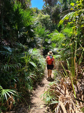 Load image into Gallery viewer, Saturday 29 August | Royal National Park | Coast Track Bite-Size | Otford to Burning Palms Beach Rockpool Adventure