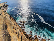 Load image into Gallery viewer, Sunday 7 June | Royal National Park | Whale Watching Walk Wattamolla to Curracurrong (Eagle Rock)🐳 FREE LOCAL TRAIN STATION TRANSFERS