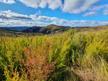 Load image into Gallery viewer, Saturday 17 April - Sunday 18 April 2027 | Corang Arch | Cave Camping | Classic Scenic Overnighter | Budawangs Adventure Weekend