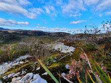 Load image into Gallery viewer, Saturday 17 April - Sunday 18 April 2027 | Corang Arch | Cave Camping | Classic Scenic Overnighter | Budawangs Adventure Weekend