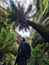 Load image into Gallery viewer, Saturday 1 August | Dry Canyon and Glow Worm Tunnel | Explore two epic locations in Wollemi Gardens of Stone Blue Mountains | 4x4 tour