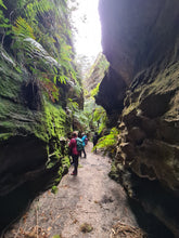 Load image into Gallery viewer, Saturday 1 August | Dry Canyon and Glow Worm Tunnel | Explore two epic locations in Wollemi Gardens of Stone Blue Mountains | 4x4 tour