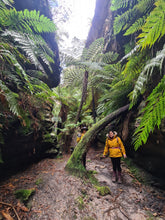 Load image into Gallery viewer, Saturday 1 August | Dry Canyon and Glow Worm Tunnel | Explore two epic locations in Wollemi Gardens of Stone Blue Mountains | 4x4 tour