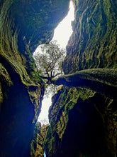 Load image into Gallery viewer, Saturday 1 August | Dry Canyon and Glow Worm Tunnel | Explore two epic locations in Wollemi Gardens of Stone Blue Mountains | 4x4 tour