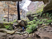 Load image into Gallery viewer, Saturday 17 January | Gooch's Crater and Billabong Canyon | Explore two epic locations in Wollemi Gardens of Stone Blue Mountains | 4x4 Tour