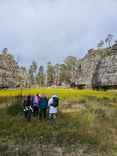 Load image into Gallery viewer, Saturday 17 January | Gooch's Crater and Billabong Canyon | Explore two epic locations in Wollemi Gardens of Stone Blue Mountains | 4x4 Tour