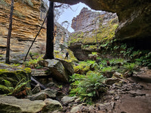 Load image into Gallery viewer, Sunday 21 June | Gooch's Crater and Billabong Canyon | Explore two epic locations in Wollemi Gardens of Stone Blue Mountains | 4x4 Tour