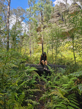 Load image into Gallery viewer, Sunday 2 November | Deep Pass Explorer | Canyons, Waterfalls, Caves and Rainforest | Wollemi National Park x Gardens of Stone | Blue Mountains | 4x4 tour