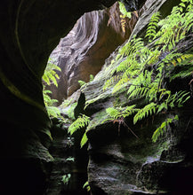 Load image into Gallery viewer, Sunday 5 May | Dumbano x River Caves Canyon, a Walk-Through Tour | Explore two epic locations in Wollemi Gardens of Stone Blue Mountains | 4x4 secret location

