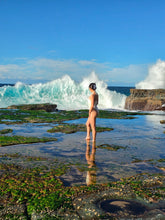 Load image into Gallery viewer, Saturday 29 August | Royal National Park | Coast Track Bite-Size | Otford to Burning Palms Beach Rockpool Adventure