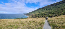 Load image into Gallery viewer, Saturday 29 August | Royal National Park | Coast Track Bite-Size | Otford to Burning Palms Beach Rockpool Adventure