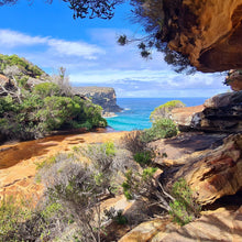 Load image into Gallery viewer, Sunday 7 June | Royal National Park | Whale Watching Walk Wattamolla to Curracurrong (Eagle Rock)🐳 FREE LOCAL TRAIN STATION TRANSFERS