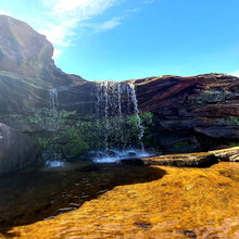 Load image into Gallery viewer, Sunday 7 June | Royal National Park | Whale Watching Walk Wattamolla to Curracurrong (Eagle Rock)🐳 FREE LOCAL TRAIN STATION TRANSFERS