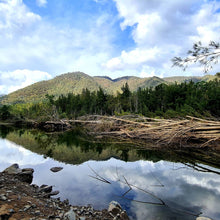 Load image into Gallery viewer, Saturday 11 April | Bungonia Red Track - White Track Loop | Bucket List Hike