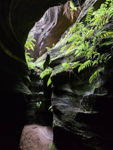 Load image into Gallery viewer, Saturday 1 November | Dumbano x River Caves Canyon, a Walk-Through Tour | Explore two epic locations in Wollemi Gardens of Stone Blue Mountains | 4x4 secret location
