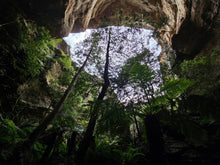 Load image into Gallery viewer, Saturday 1 November | Dumbano x River Caves Canyon, a Walk-Through Tour | Explore two epic locations in Wollemi Gardens of Stone Blue Mountains | 4x4 secret location