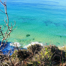 Load image into Gallery viewer, Private Full Day Guided Sydney Bushwalk and Hiking