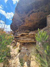 Load image into Gallery viewer, Saturday 24 October | Victoria Falls and Silver Cascades | Waratahs, Mountain Swimming and Waterfall Photos