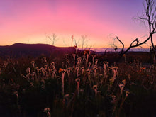Load image into Gallery viewer, Saturday 19 September - Sunday 20 September | Banking Byangee | Morton National Park | Overnight Guided Adventure