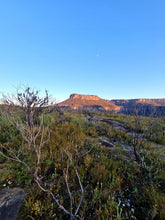 Load image into Gallery viewer, Saturday 19 September - Sunday 20 September | Banking Byangee | Morton National Park | Overnight Guided Adventure