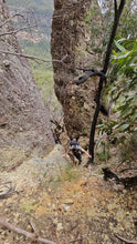Load image into Gallery viewer, Saturday 19 September - Sunday 20 September | Banking Byangee | Morton National Park | Overnight Guided Adventure
