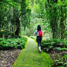 Load image into Gallery viewer, Private Full Day Guided Sydney Bushwalk and Hiking