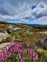 Load image into Gallery viewer, Friday 27 December - Sunday 29 December  | Overnight Kosciuszko Main Range Experience | Peak Bagging Adventure
