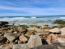 Load image into Gallery viewer, Saturday 29 August | Royal National Park | Coast Track Bite-Size | Otford to Burning Palms Beach Rockpool Adventure
