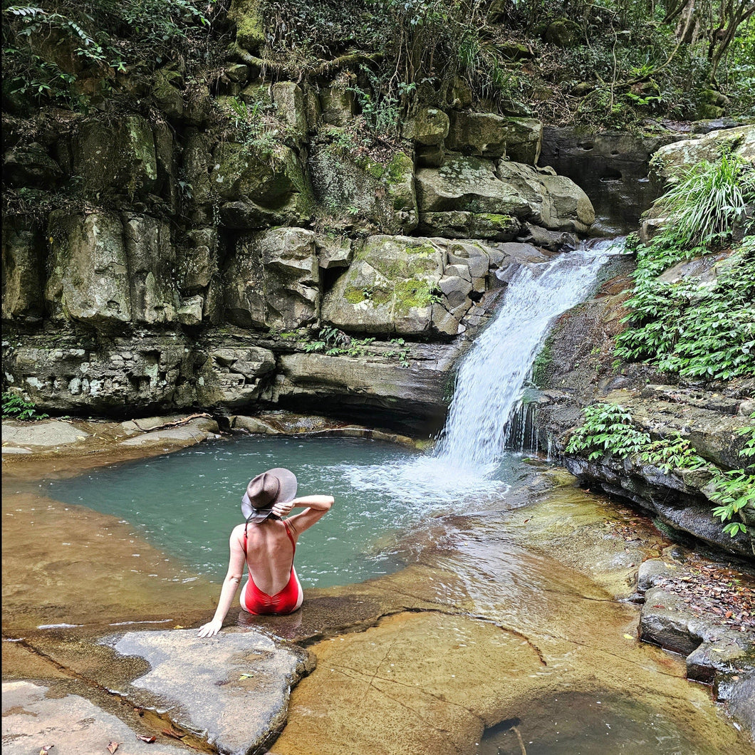 Saturday 2 November | Macquarie Pass | Secret Rainforest Gems | Wander in a Waterfall Wonderland | Wild Swimming in a secret infinity pool