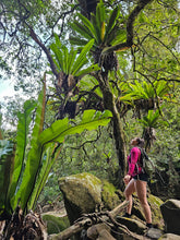 Load image into Gallery viewer, Saturday 2 November | Macquarie Pass | Secret Rainforest Gems | Wander in a Waterfall Wonderland | Wild Swimming in a secret infinity pool
