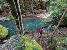 Load image into Gallery viewer, Saturday 2 November | Macquarie Pass | Secret Rainforest Gems | Wander in a Waterfall Wonderland | Wild Swimming in a secret infinity pool
