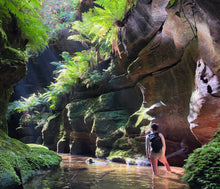 Load image into Gallery viewer, Private Full Day Guided Sydney Bushwalk and Hiking
