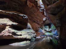 Load image into Gallery viewer, Saturday 28 November | Dumbano x River Caves Canyon, a Walk-Through Tour | Explore two epic locations in Wollemi Gardens of Stone Blue Mountains | 4x4 secret location
