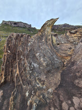 Load image into Gallery viewer, Sunday 15 March | Butterbox Point x Mount Hay | Photography | Blue Mountains Adventure
