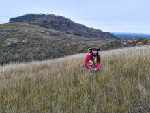 Load image into Gallery viewer, Sunday 15 March | Butterbox Point x Mount Hay | Photography | Blue Mountains Adventure
