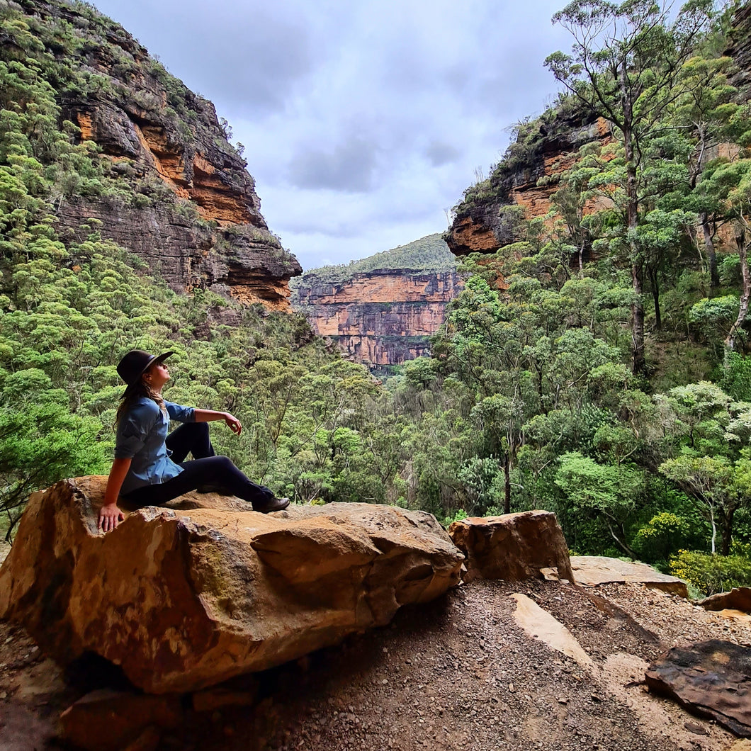 Private Full Day Guided Sydney Bushwalk and Hiking